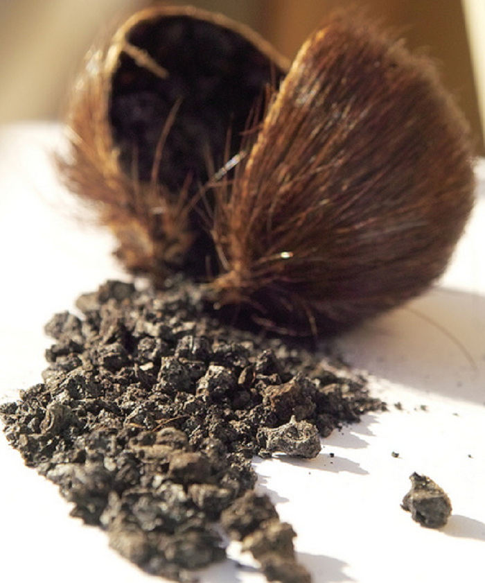 PURE DEER MUSK POWDER 87% (MUSK WILD BLACK)